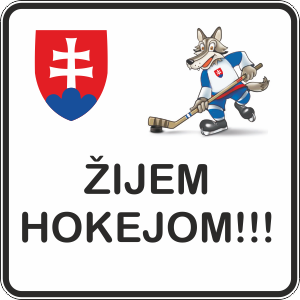 hokej2011-010[1]